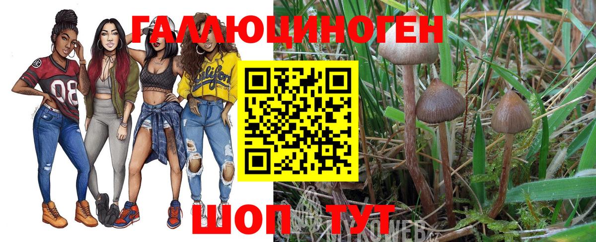 Псилоцибиновые грибы ЛСД Омск