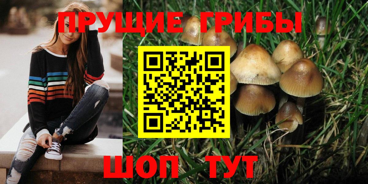 Омск  Псилоцибиновые грибы ЛСД  Галлюциногенные грибы мухоморы  Вход с VPN 